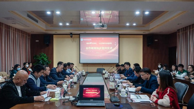 纪录片拍摄手法分类介绍：探寻影像艺术的多样表达